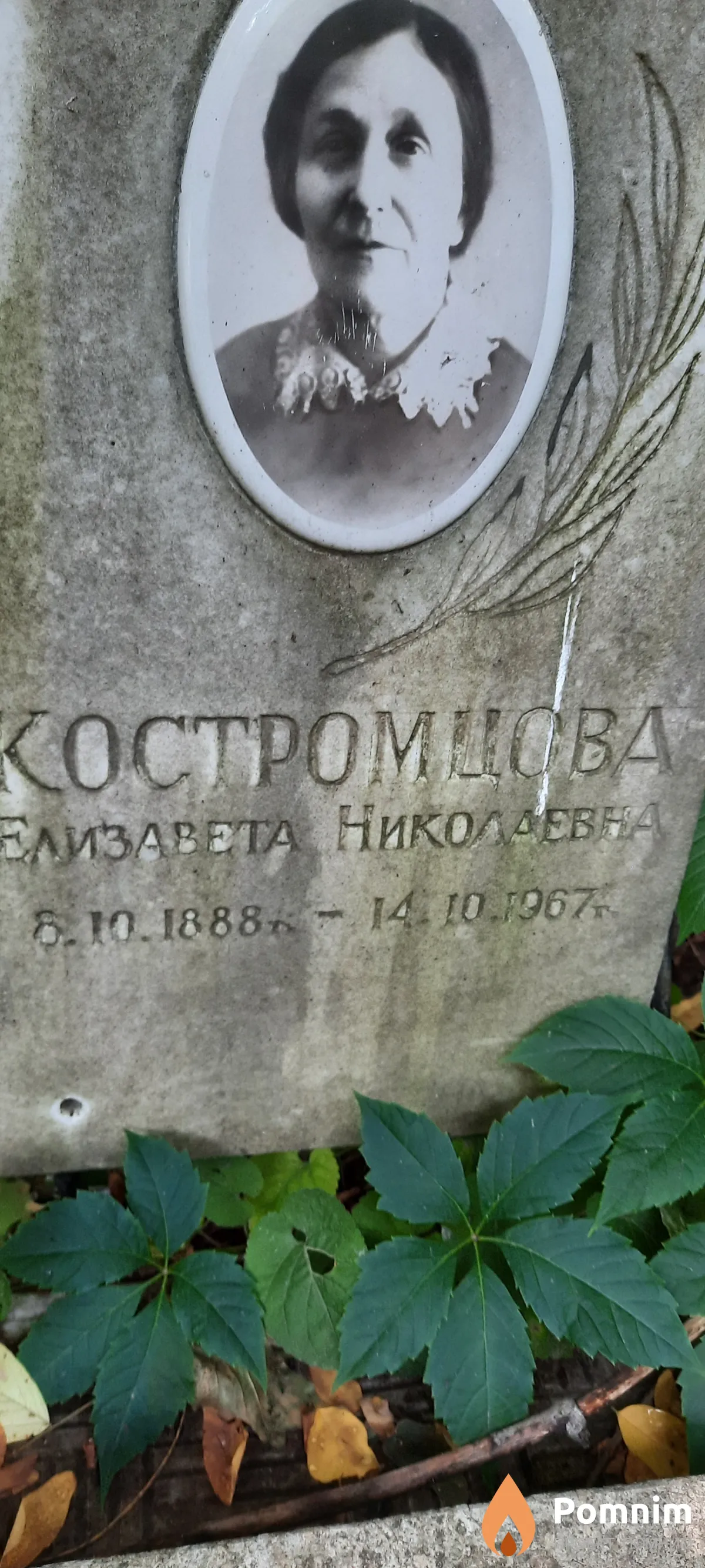 Костромцова Елизавета Николаевна