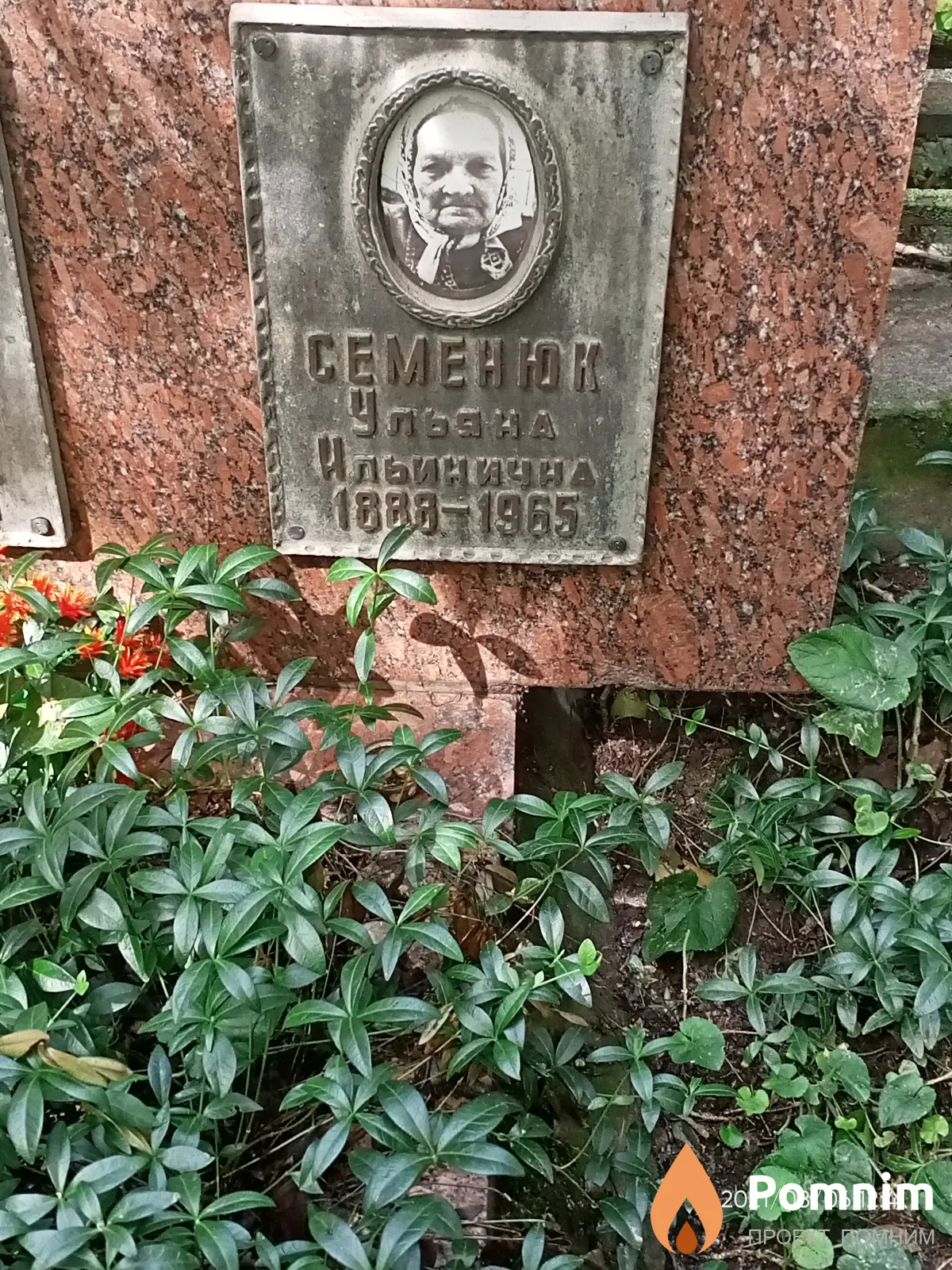 Семенюк Ульяна Ильинична