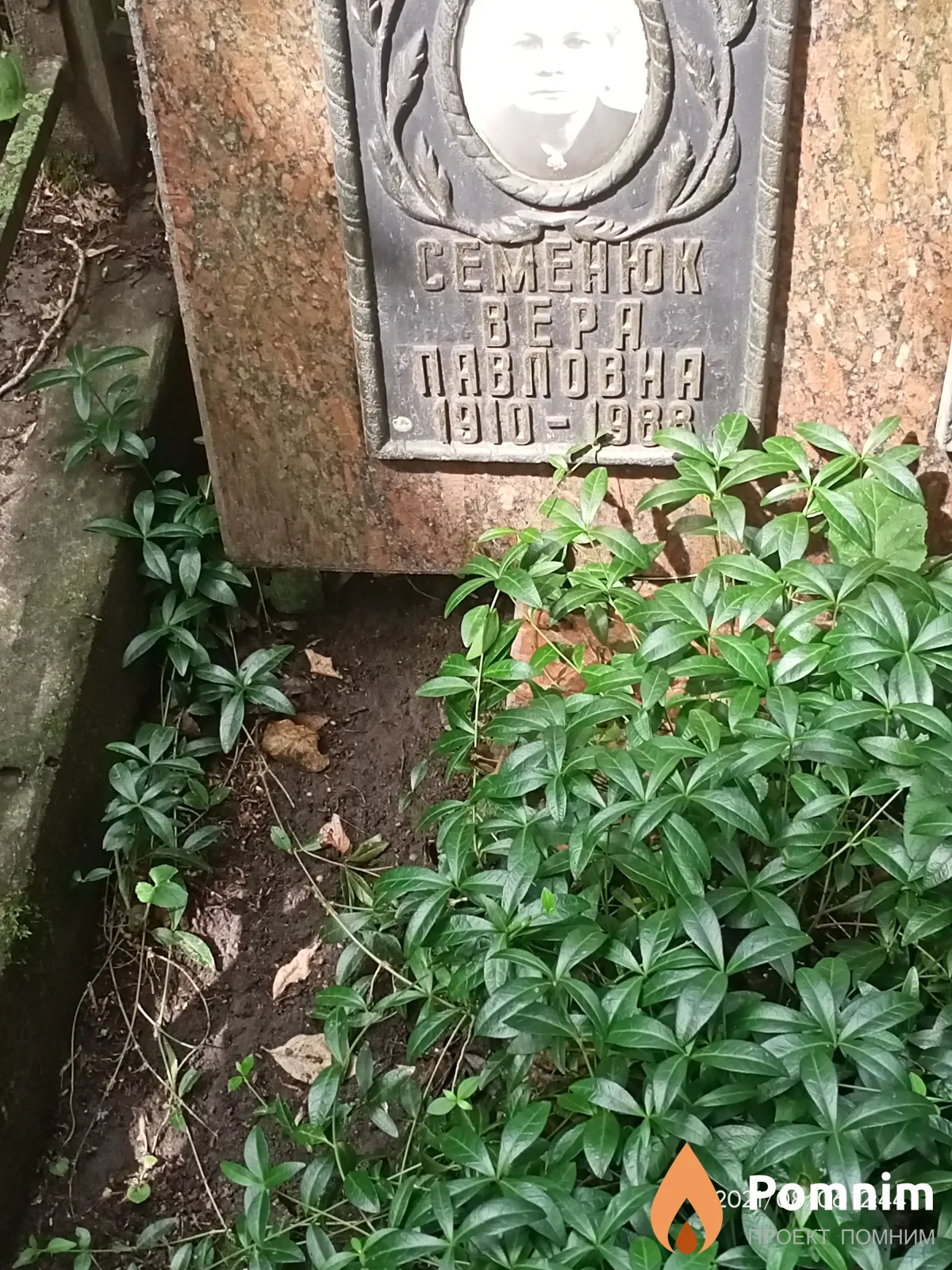 Семенюк Вера Павловна