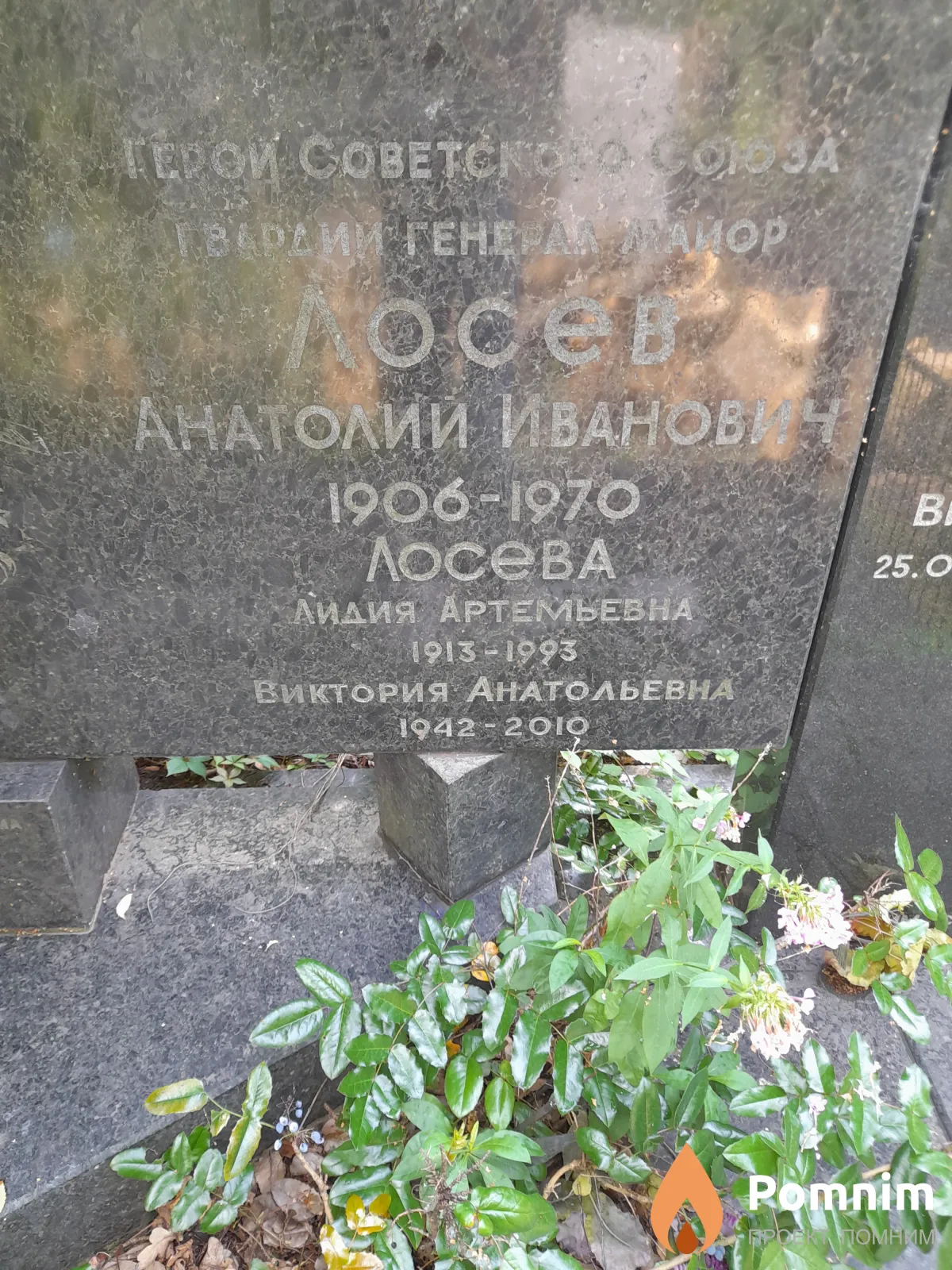 Лосева Виктория Анатольевна