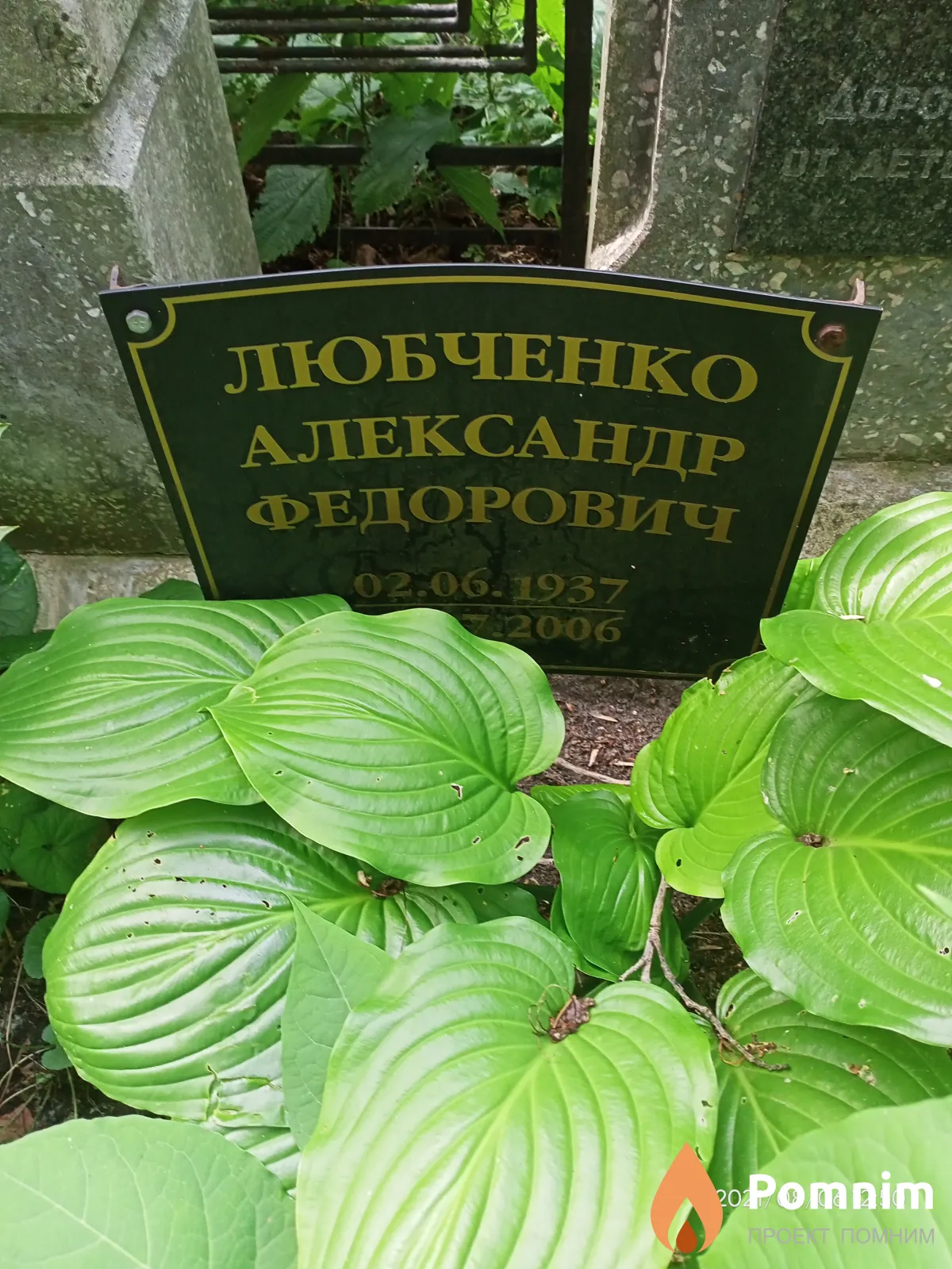 Любченко Александр Федорович