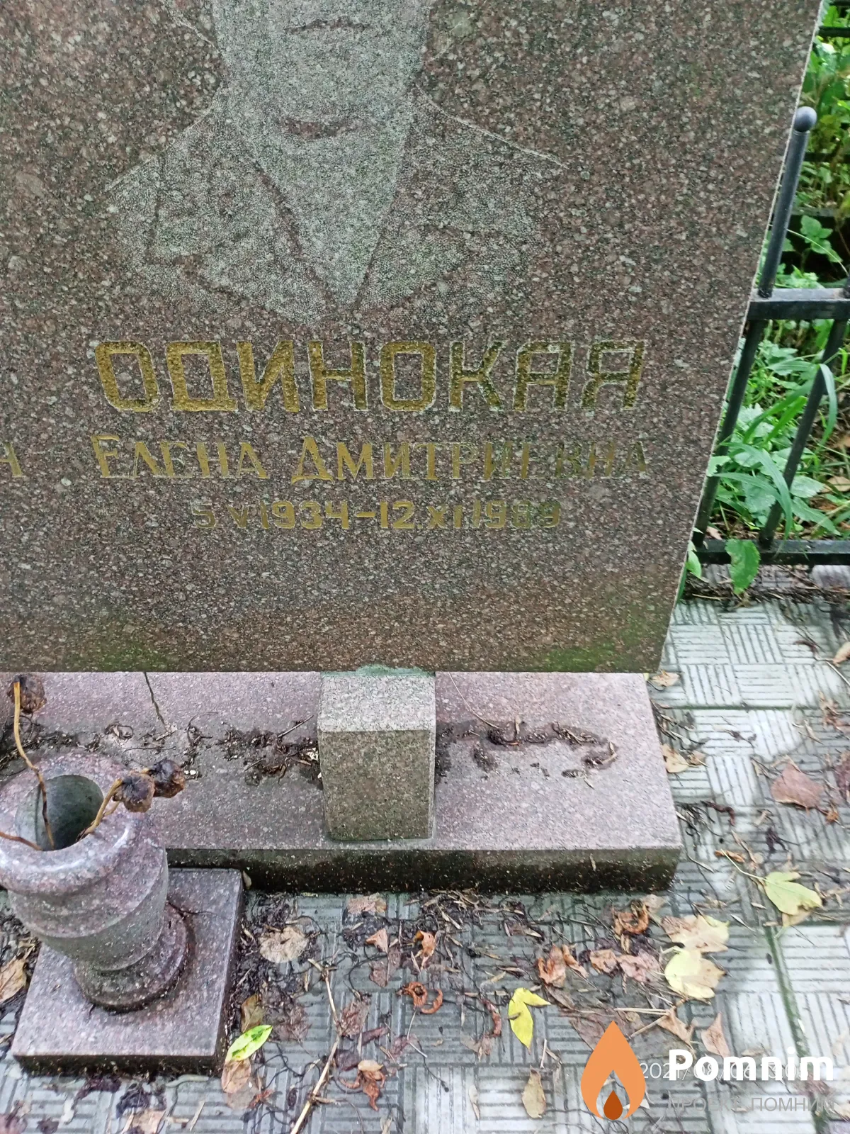 Одинокая Елена Дмитриевна