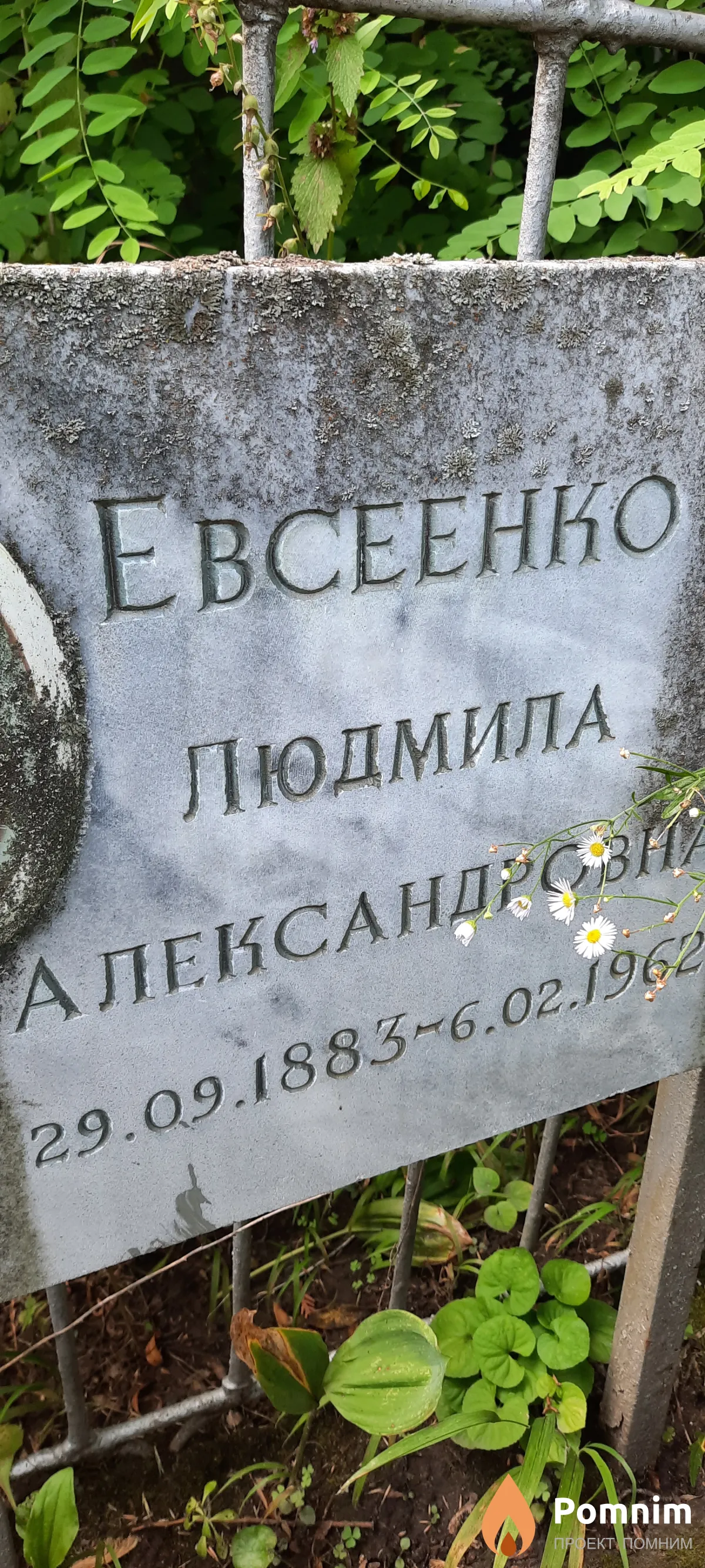 Евсеенко Людмила Александровна
