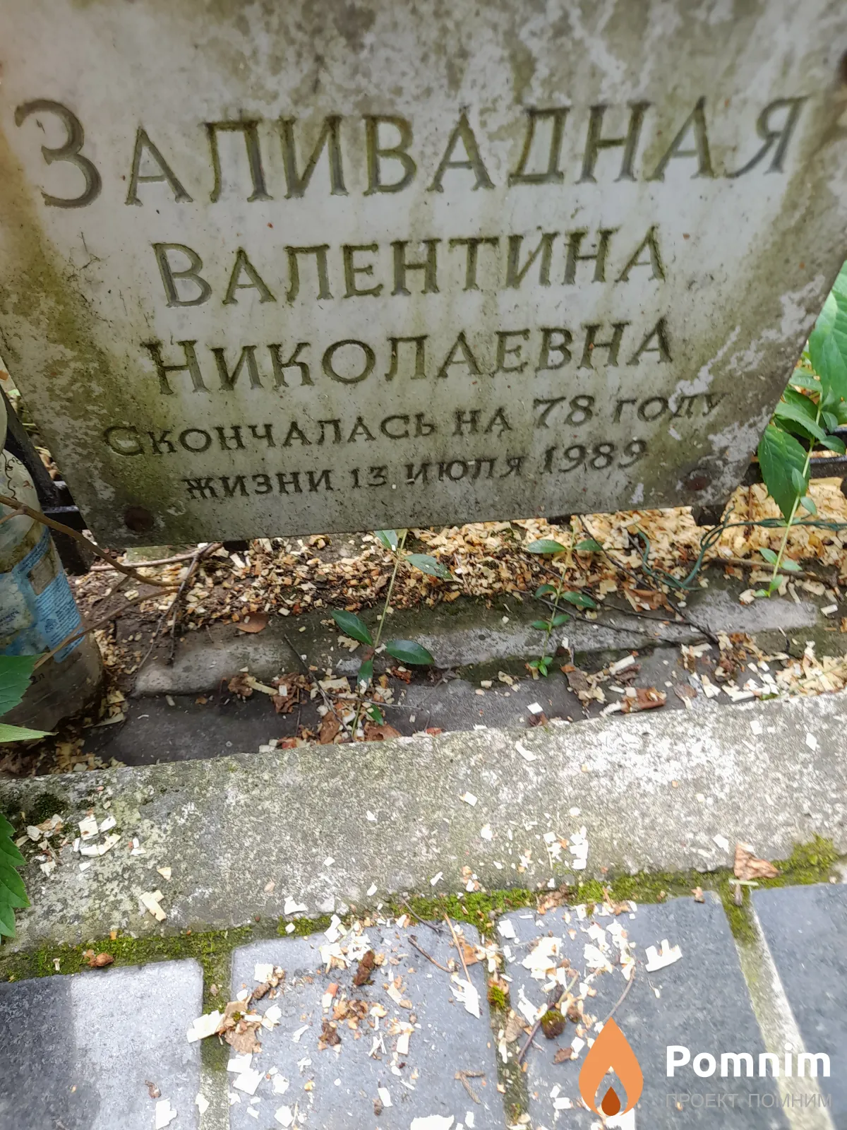 Заливадная Валентина Николаевна