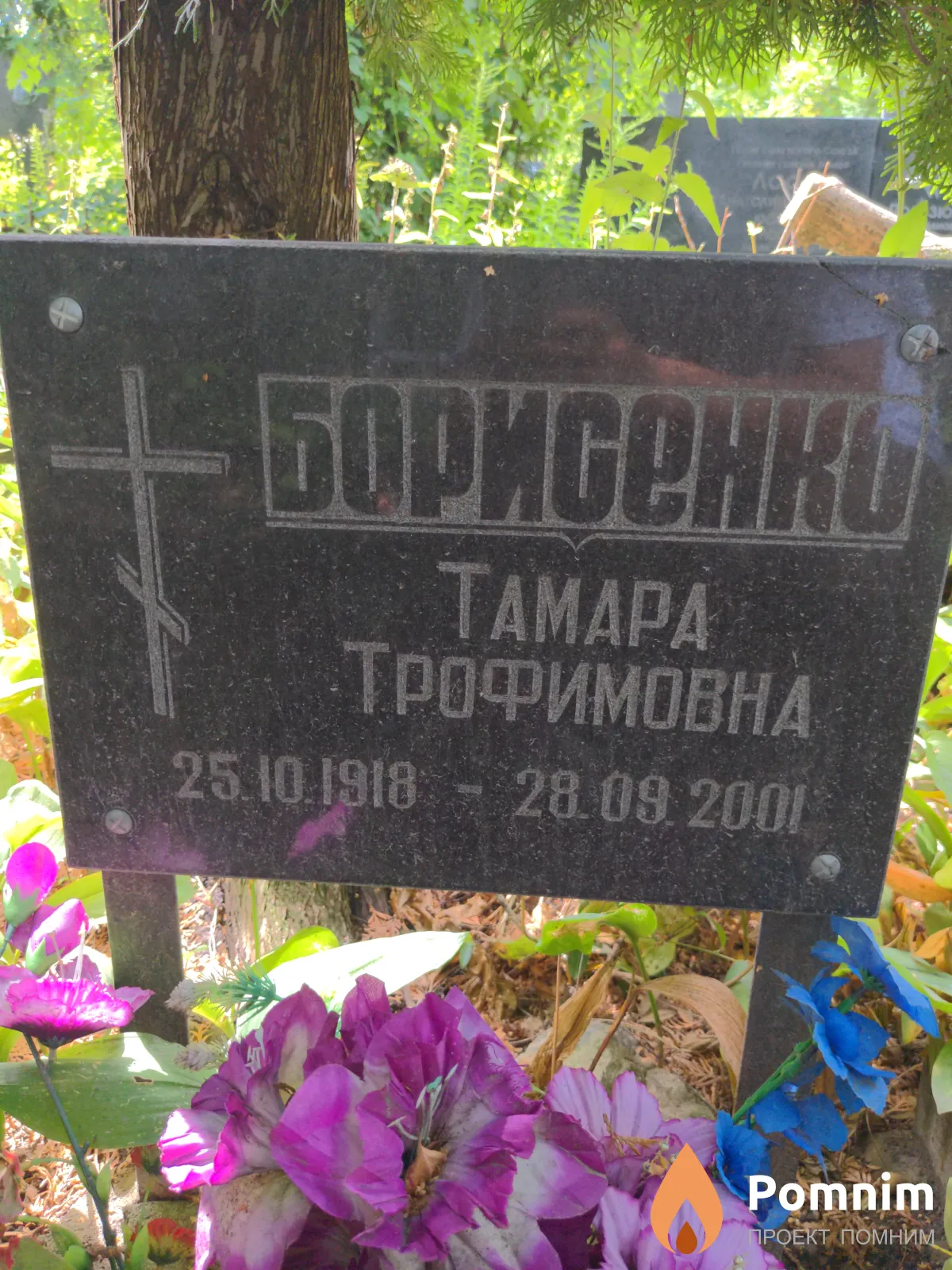 Борисенко Тамара Трофимовна