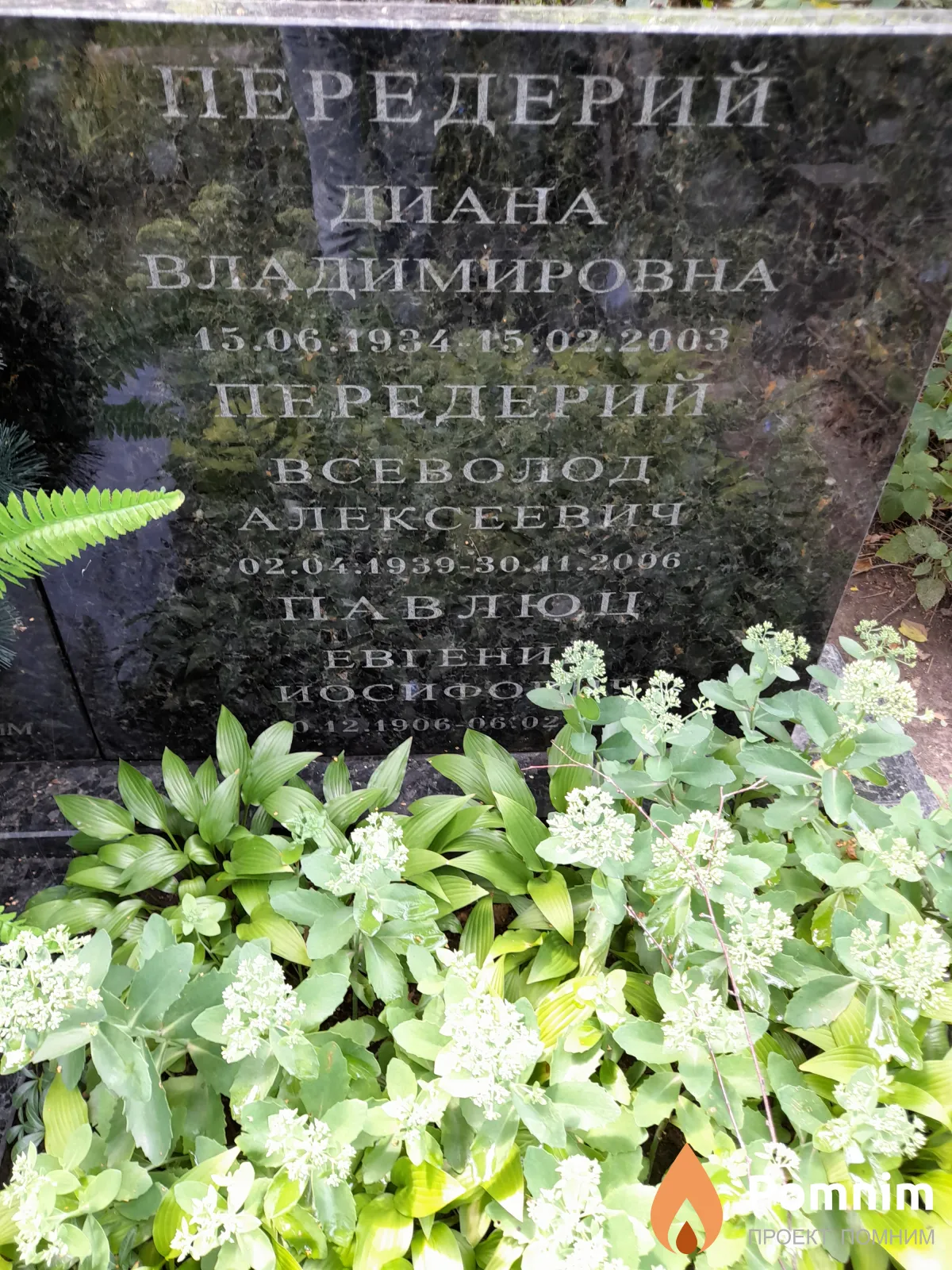 Передерий Диана Владимировна