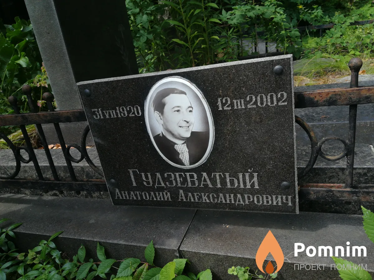 Гудзеватый Анатолий Александрович
