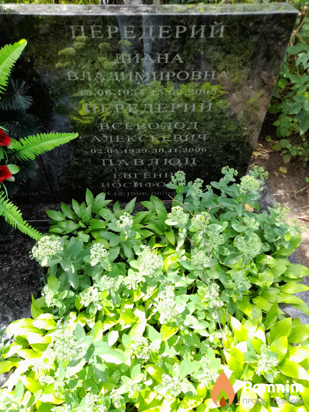 Передерий Всеволод Алексеевич