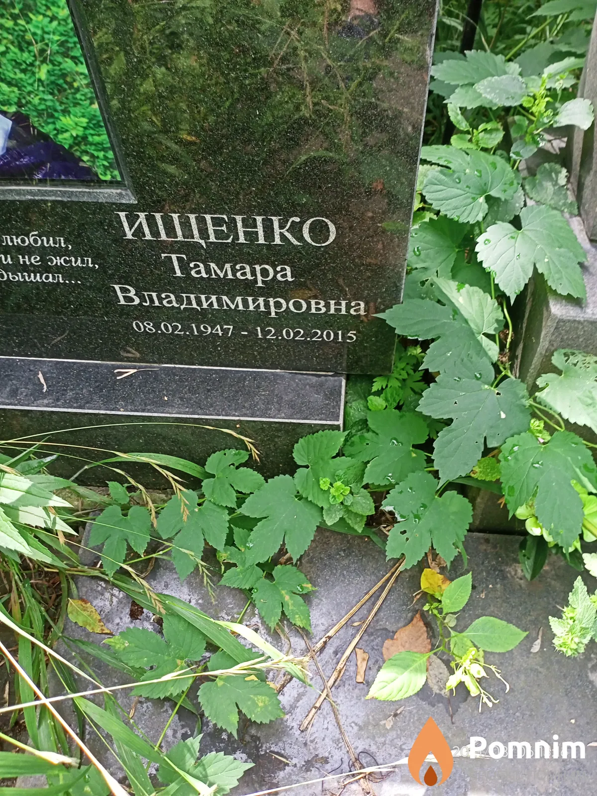 Ищенко Тамара Владимировна