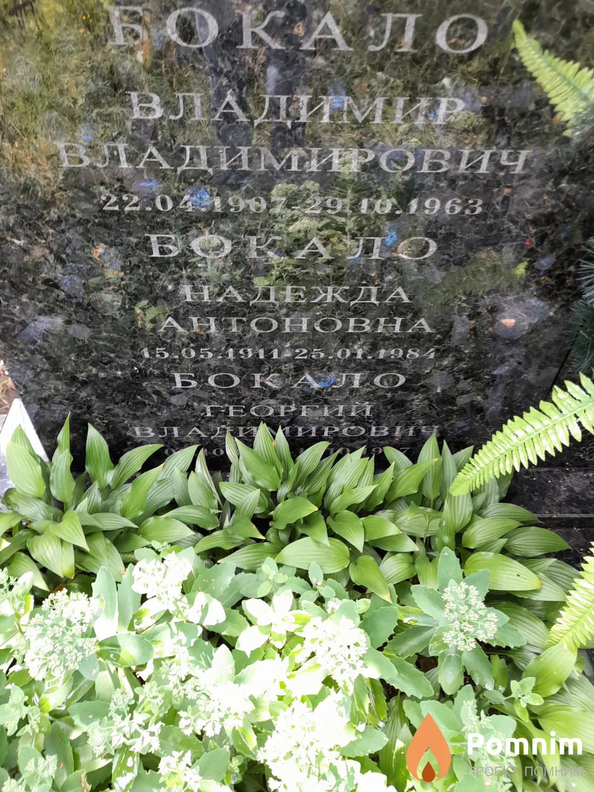 Бокало Владимир Владимирович