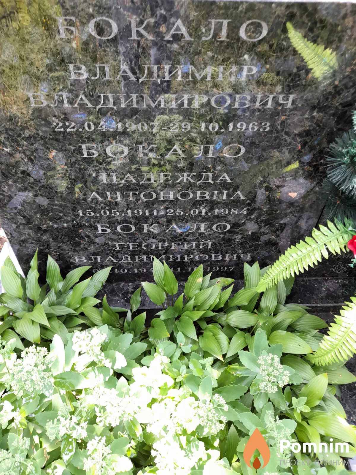 Бокало Надежда Антоновна