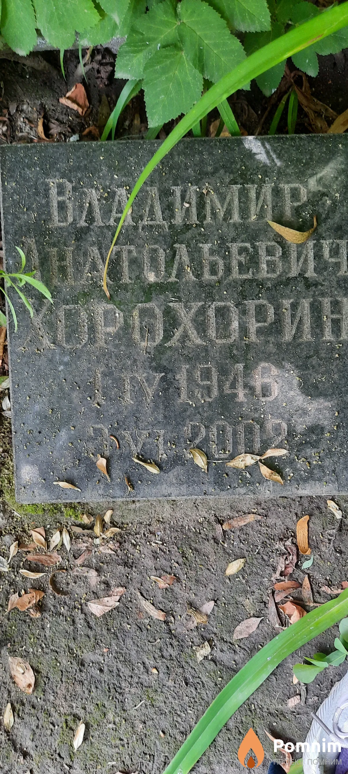 Хоронин Владимир Анатольевич