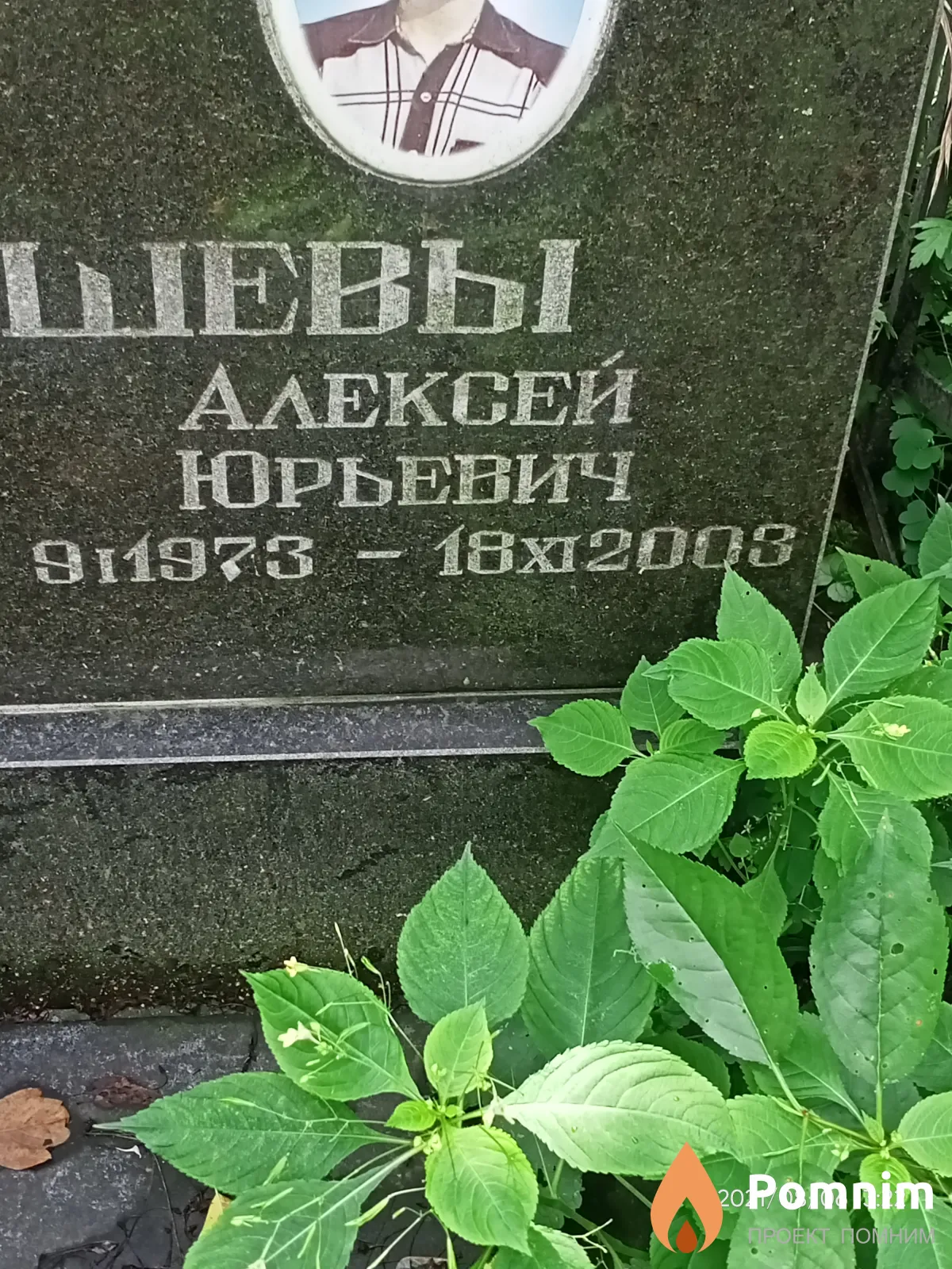 Поедавшев Алексей Юрьевич