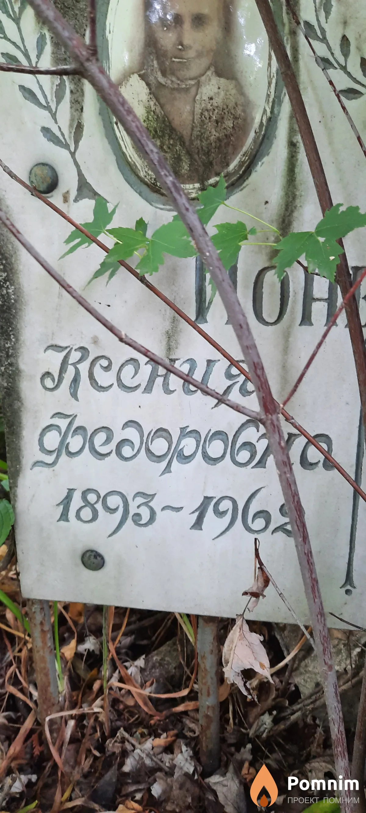 Ионевич Ксения Федоровна