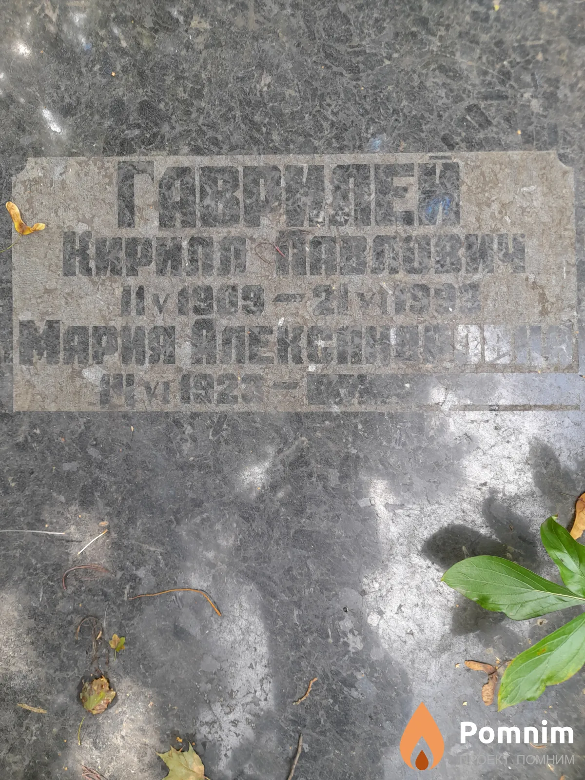 Гаврилей Мария Александровна