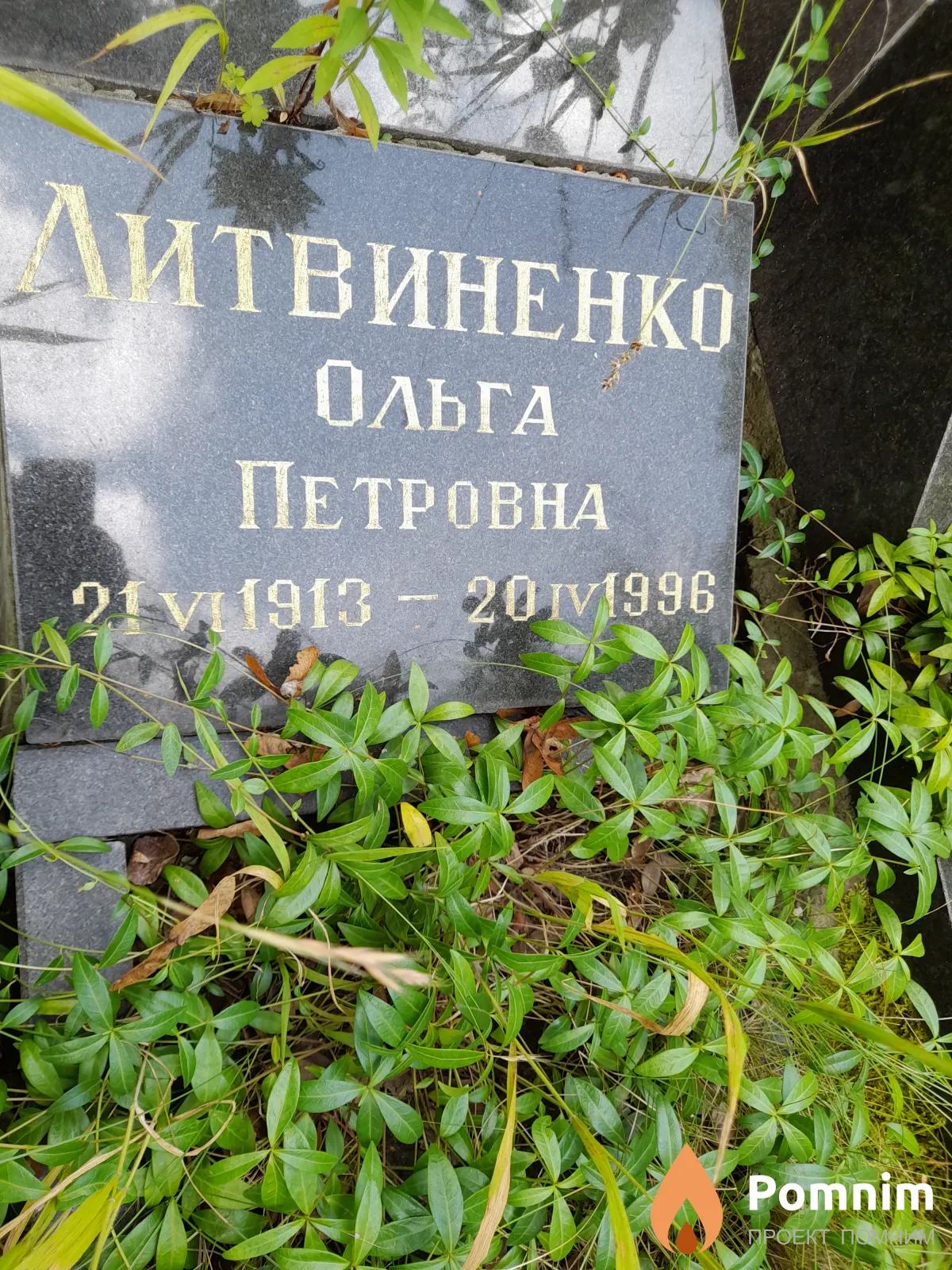 Литвиненко Ольга Петровна