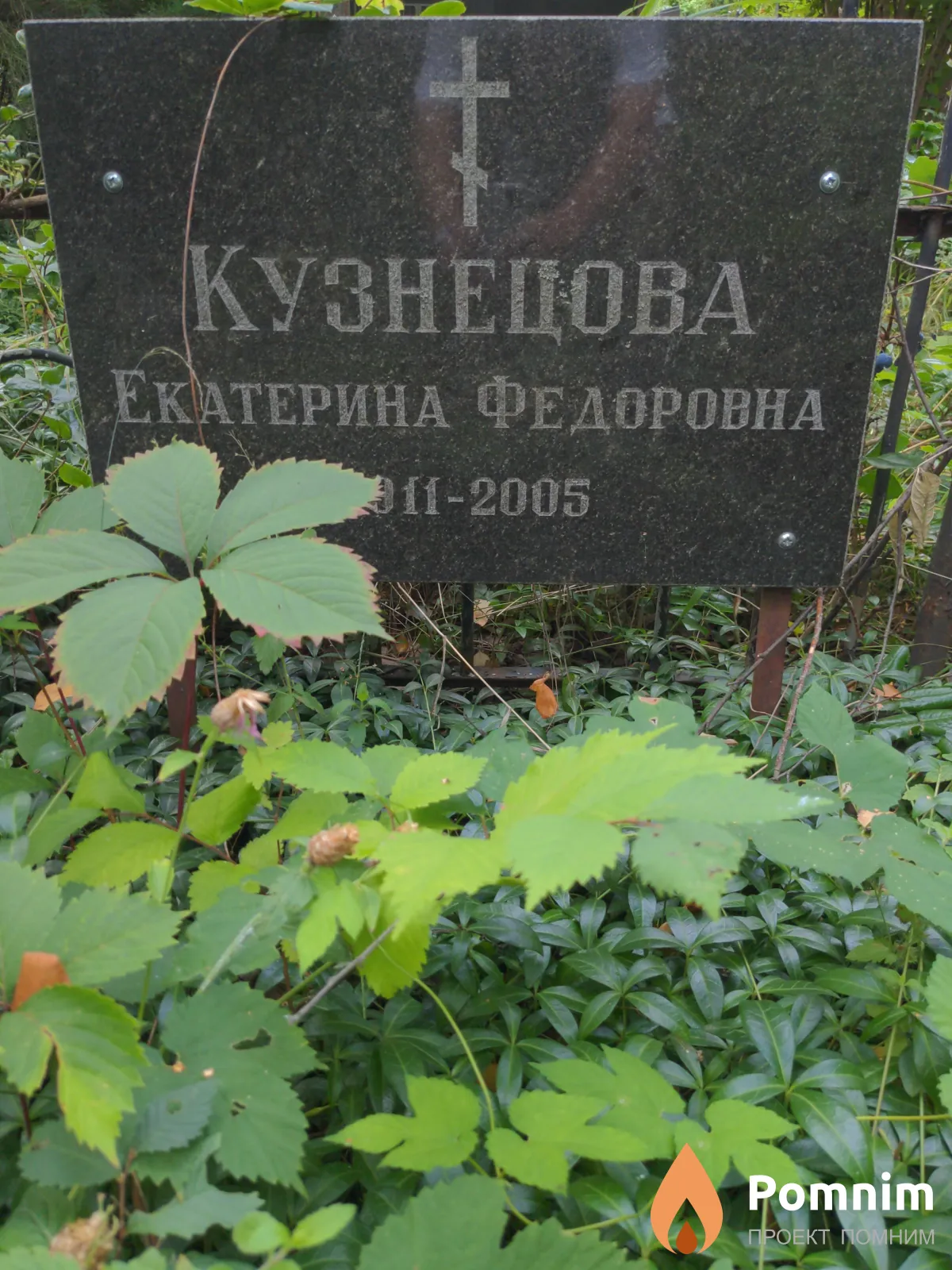 Кузнецова Екатерина Федоровна
