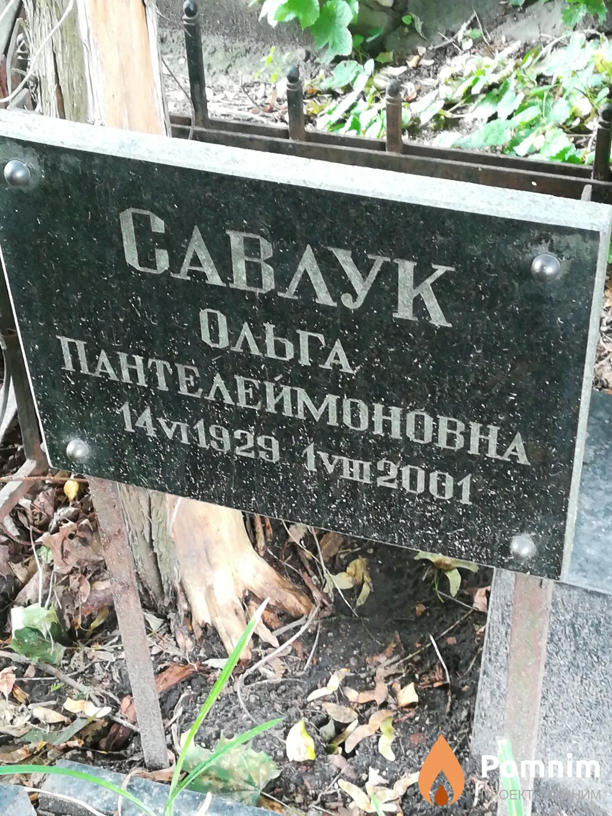 Савлук Ольга Пантелеймоновна