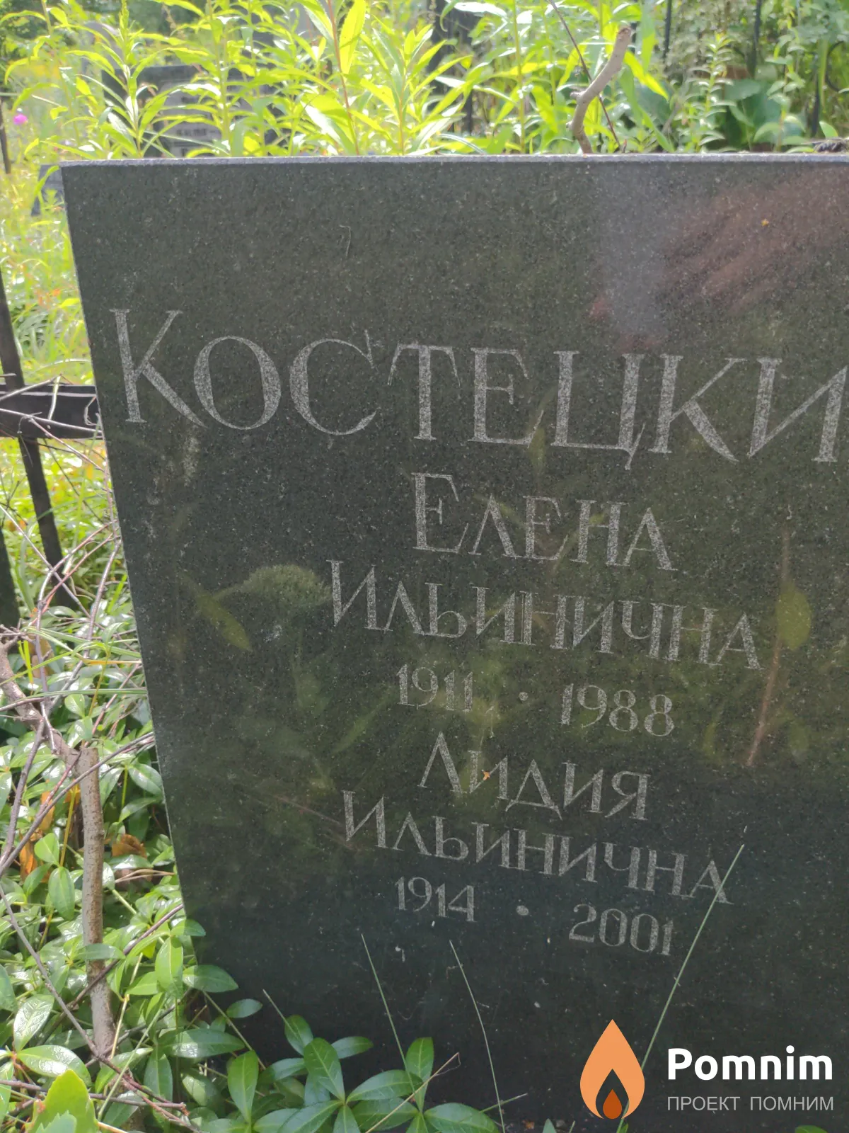 Костецкая Елена Ильинична
