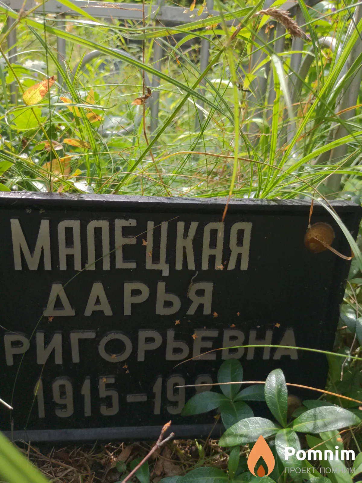 Малецкая Дарья Григорьевна