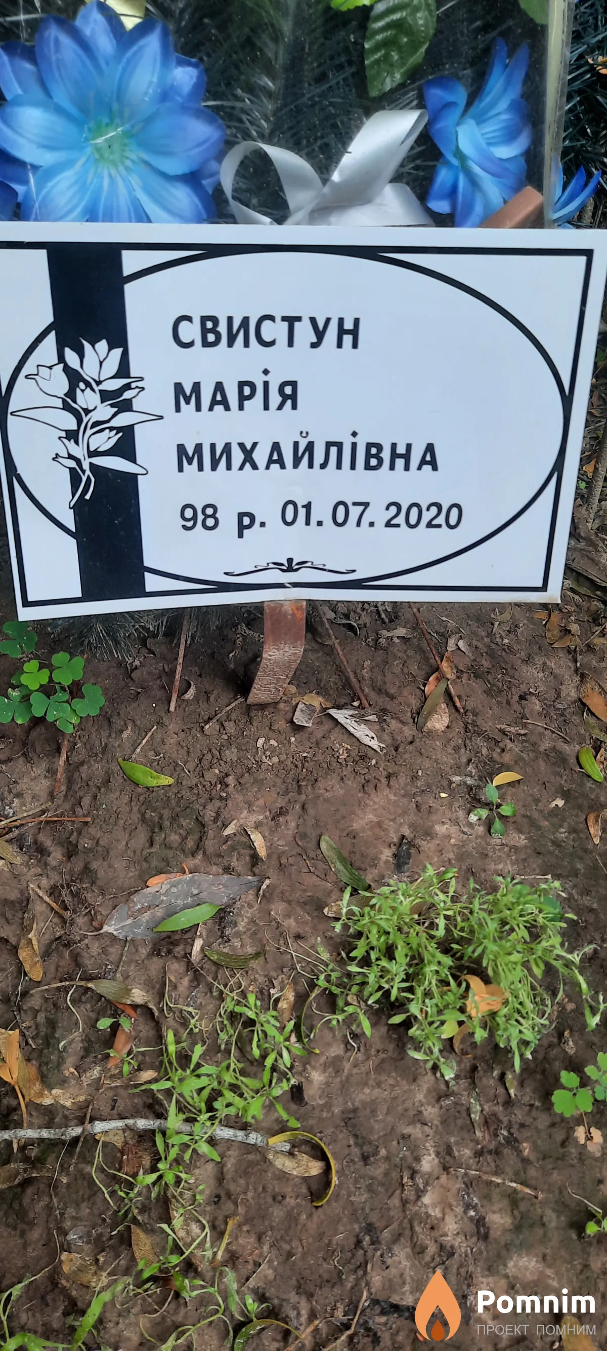 Свистун Марія Михайлівна