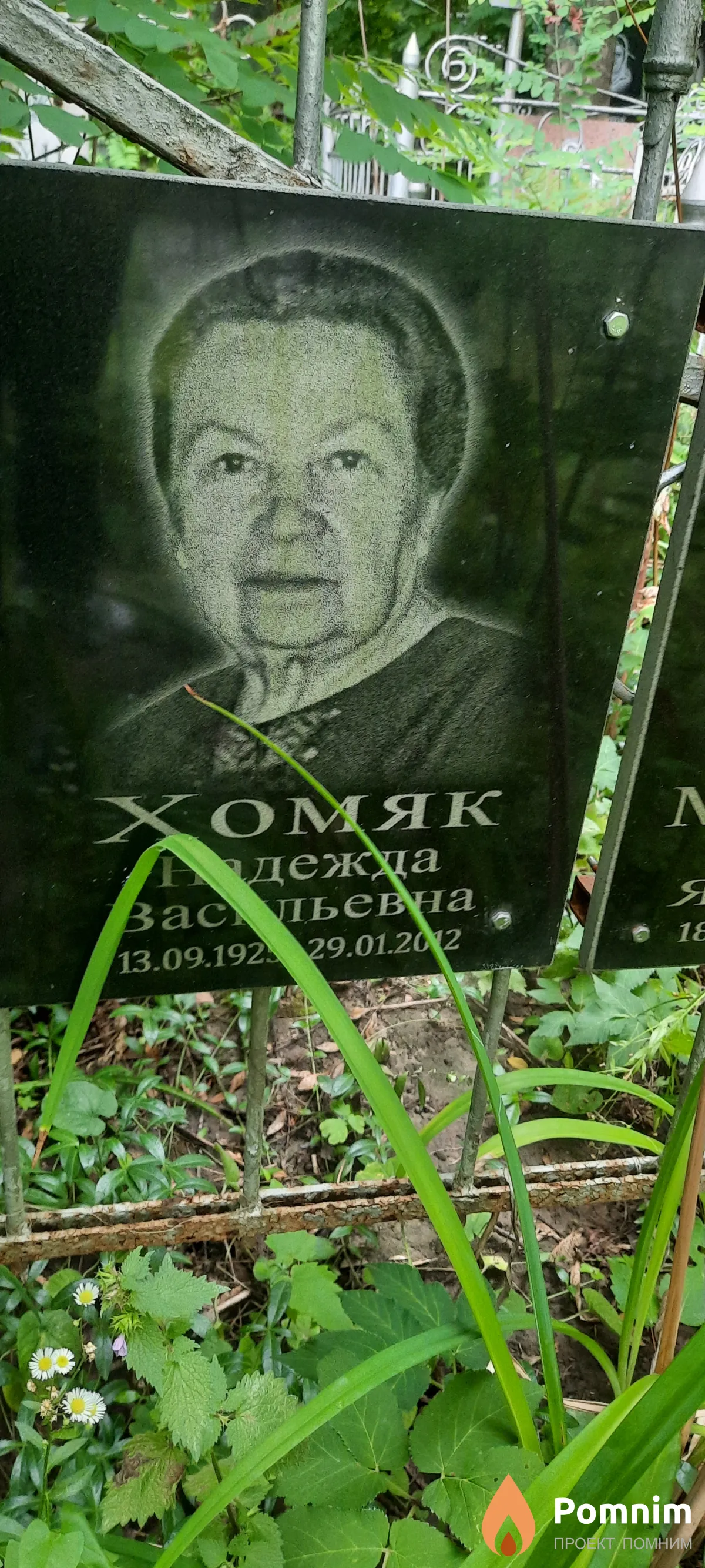 Хомяк Надежда Васильвна