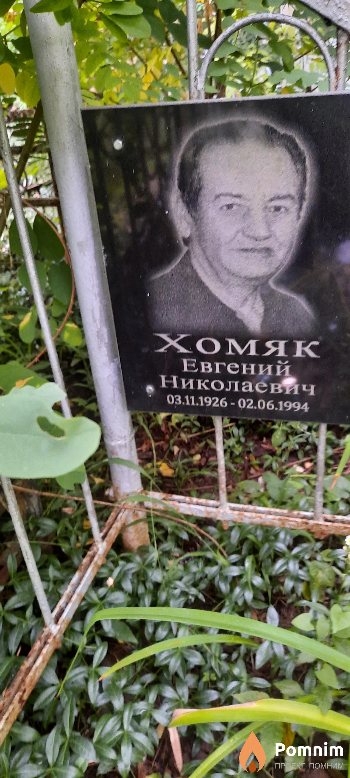 Хомяк Евгений Николаевич