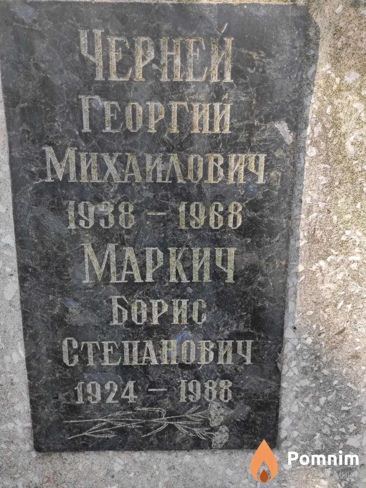 Черней Георгий Михайлович