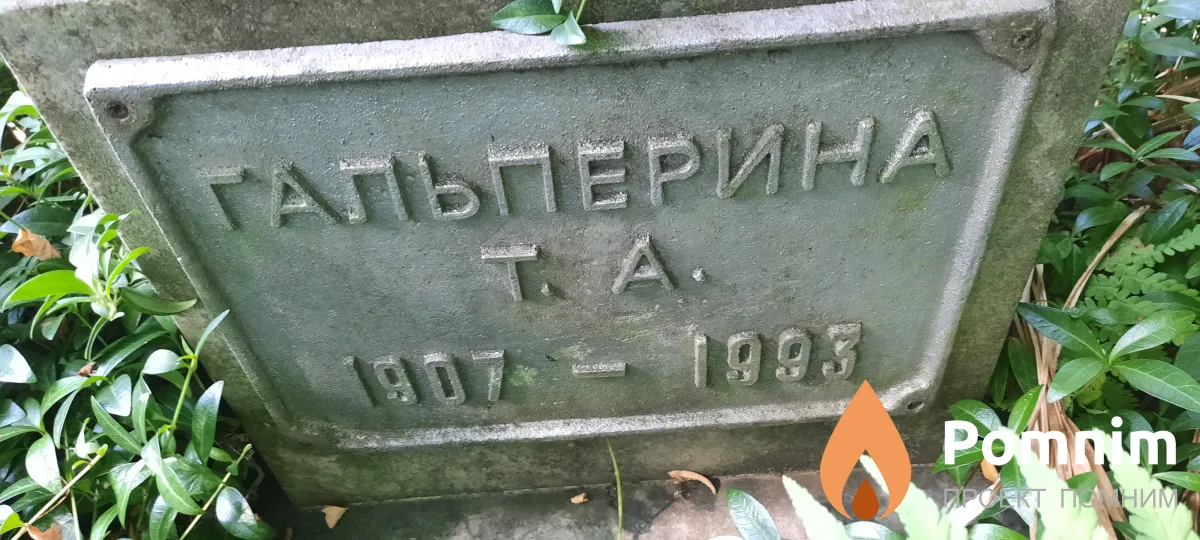 Гальперина Т А
