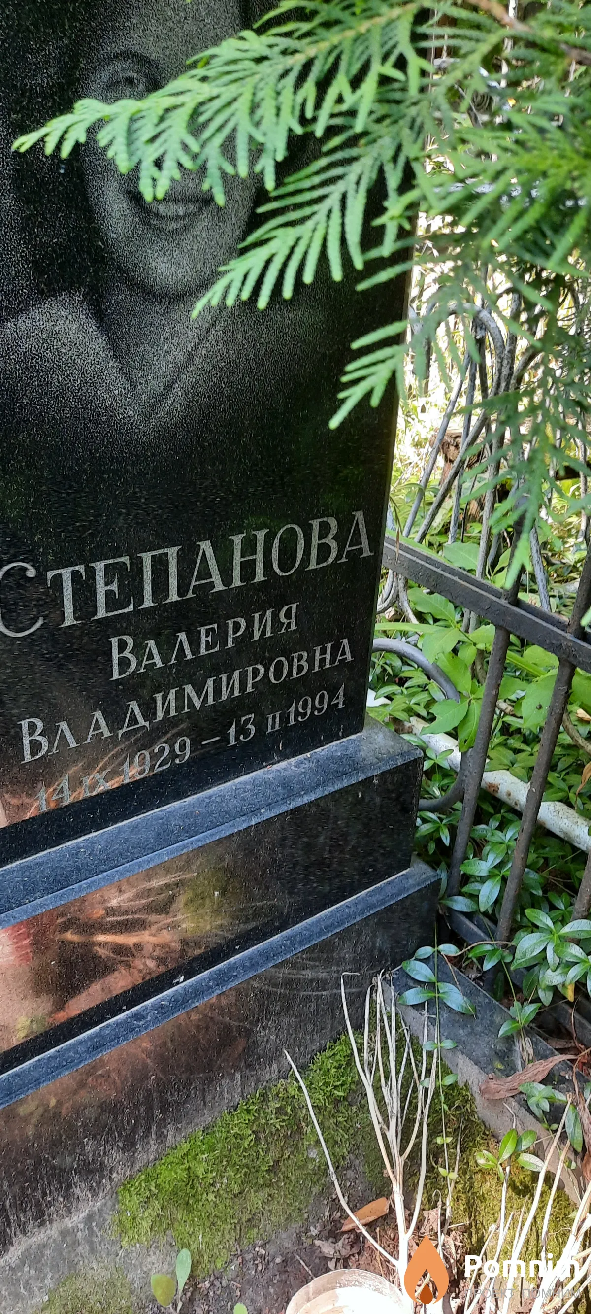 Степанова Валерия Владимировна