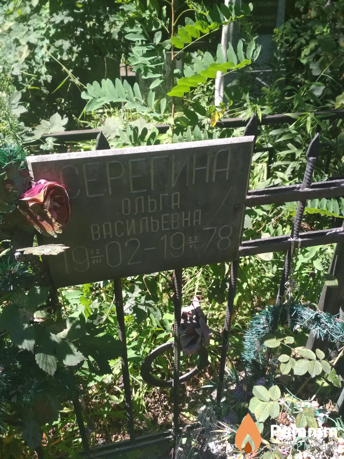 Серегина Ольга Васильевна