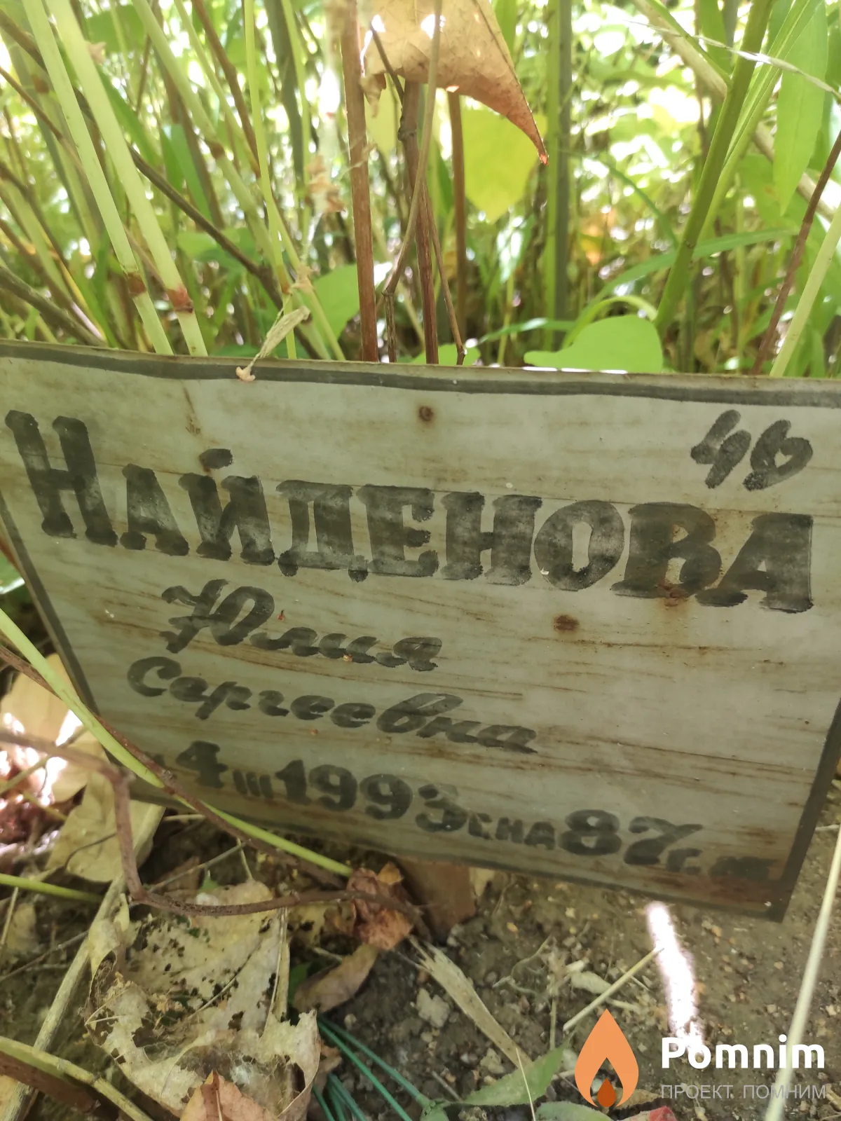 Найдёнова Юлия Сергеевна