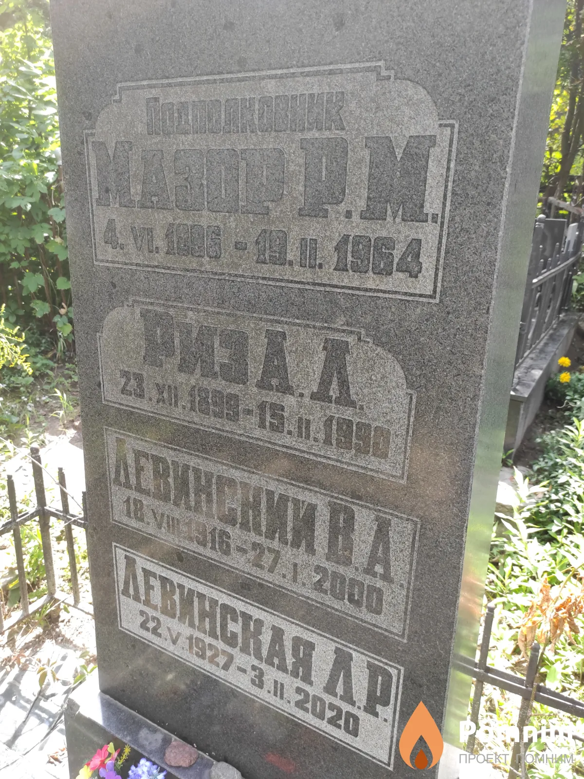 Левинская Л Р