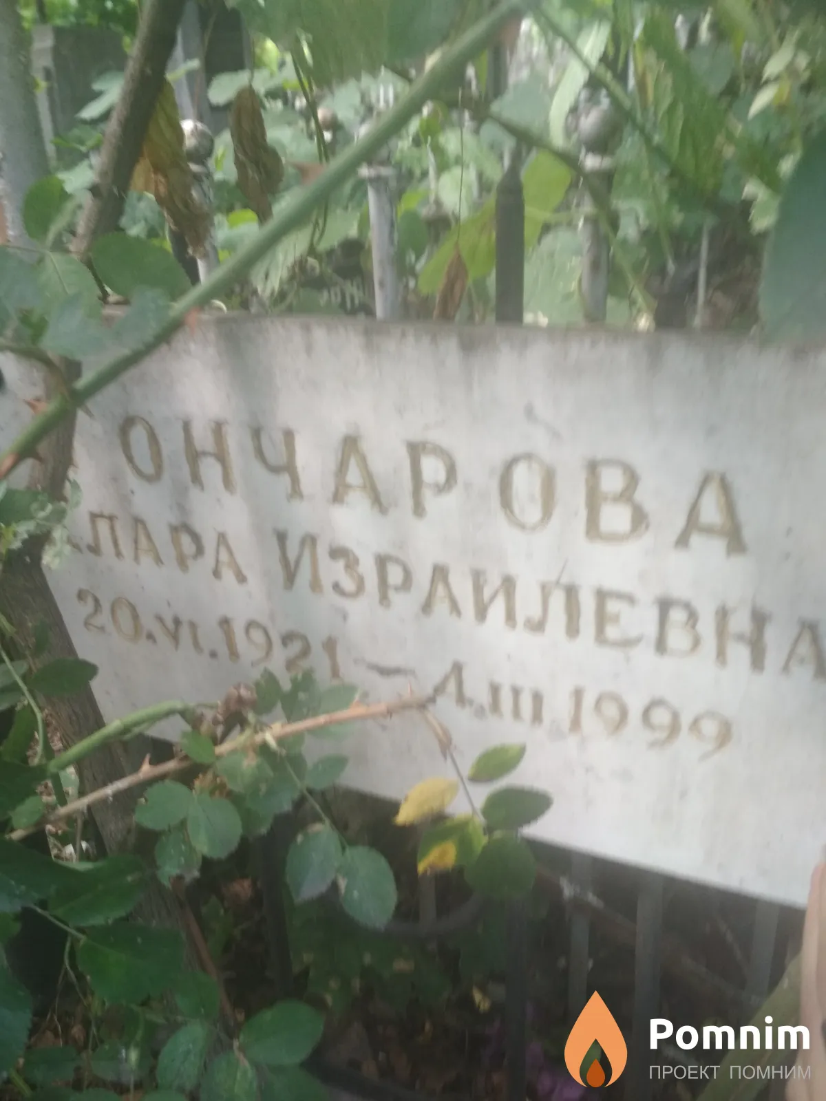 Гончарова Клара Израилевна