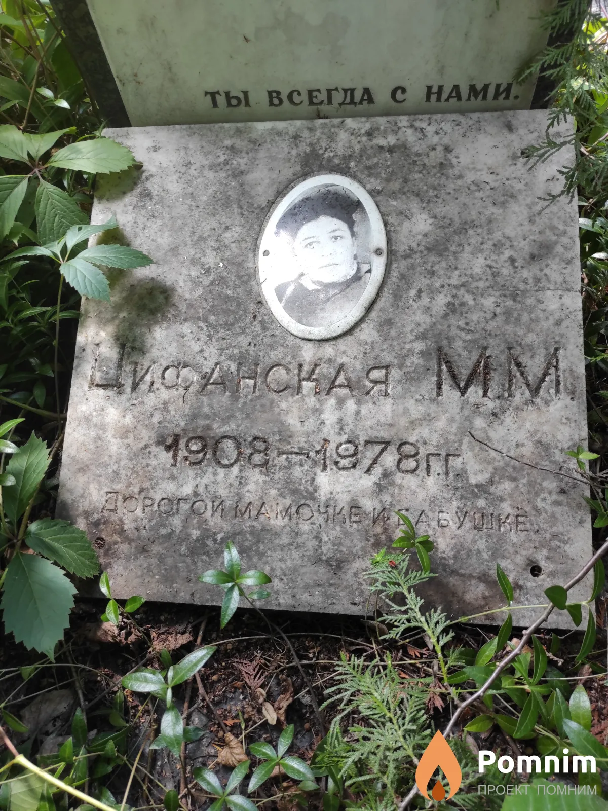 Цифанская М М
