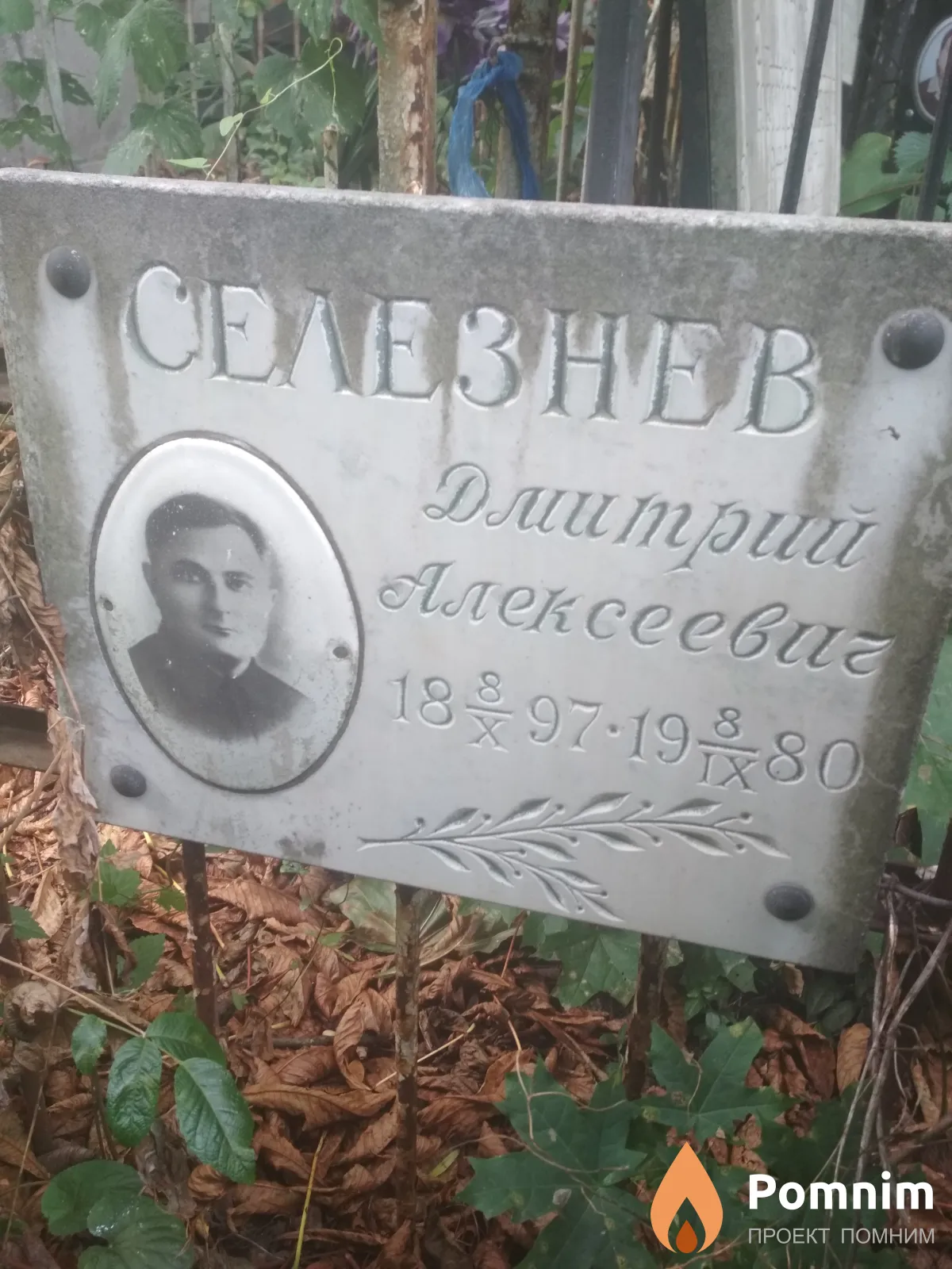 Селезнев Дмитрий Алексеевич
