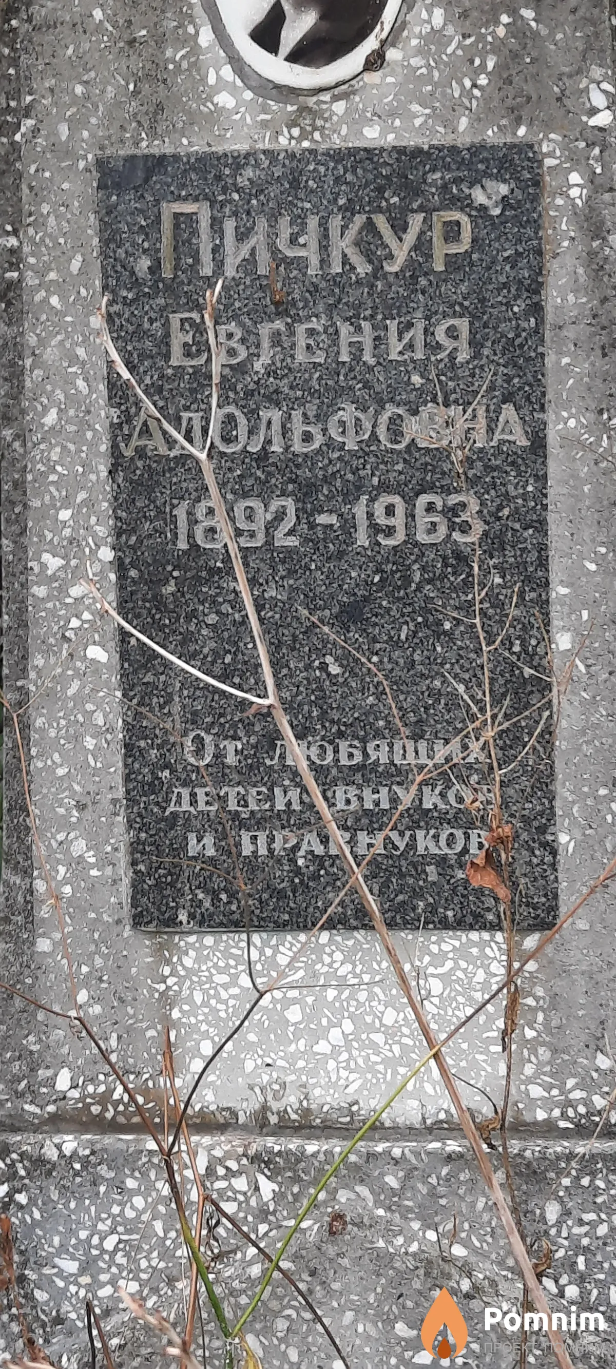 Пичкур Евгения Адольфовна