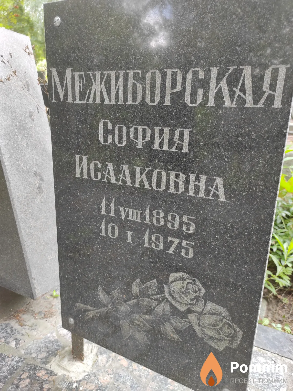 Межиборская София Исааковна