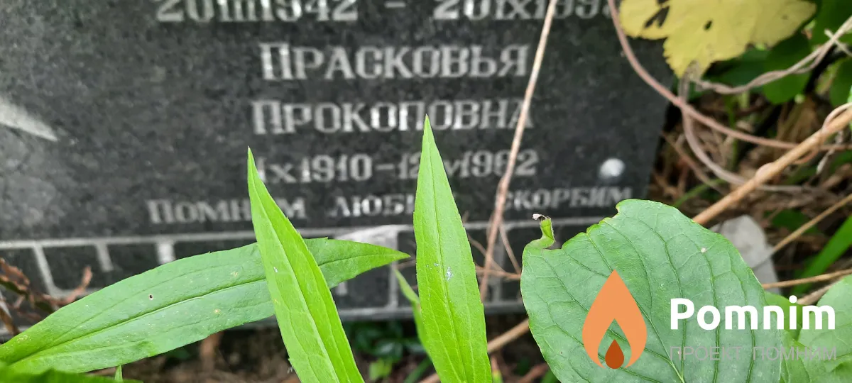 Шелудько Прасковья Прокоповна