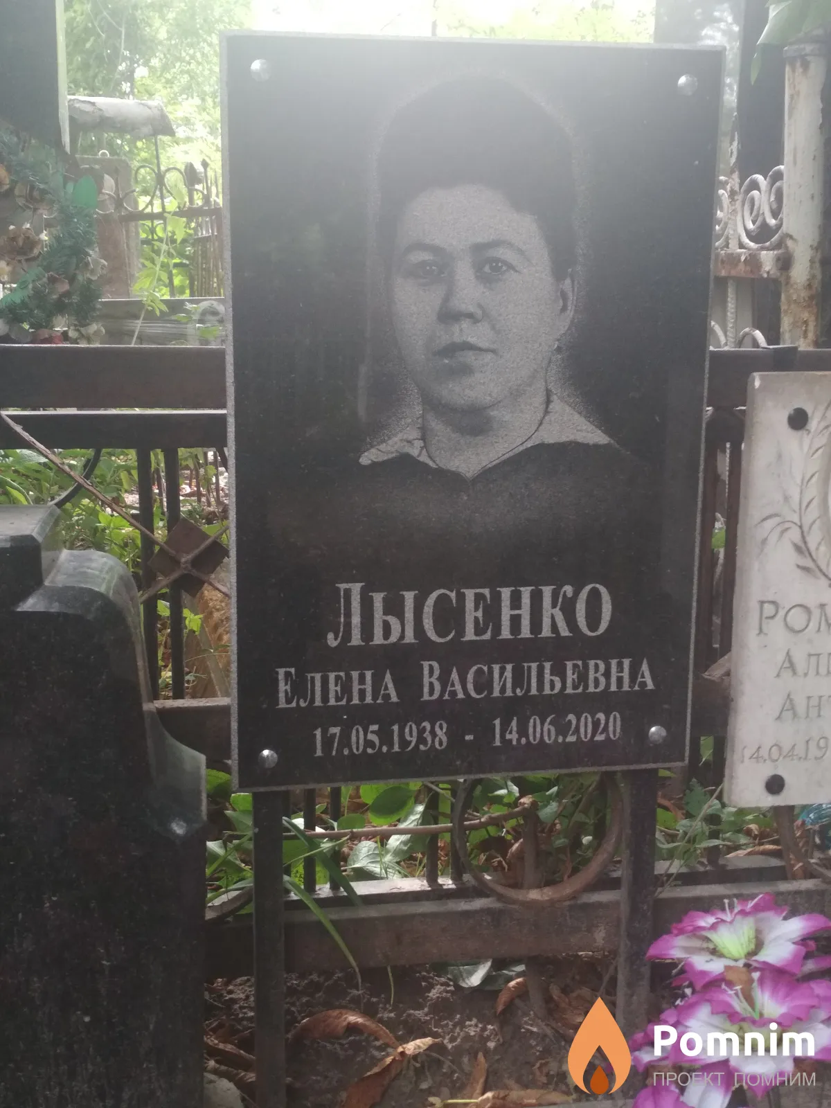 Лысенко Елена Васильевна
