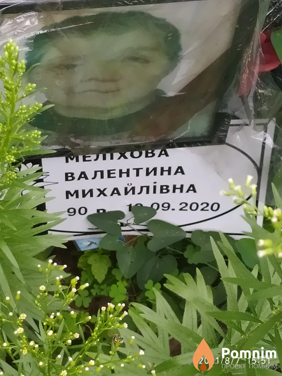 Мелхова Валентина Михайлівна