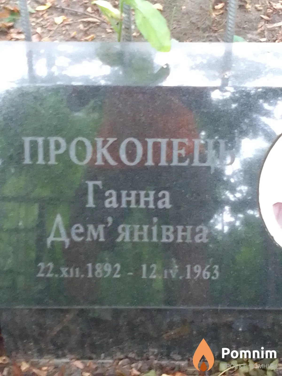 Прокопець Ганна Дем'янівна