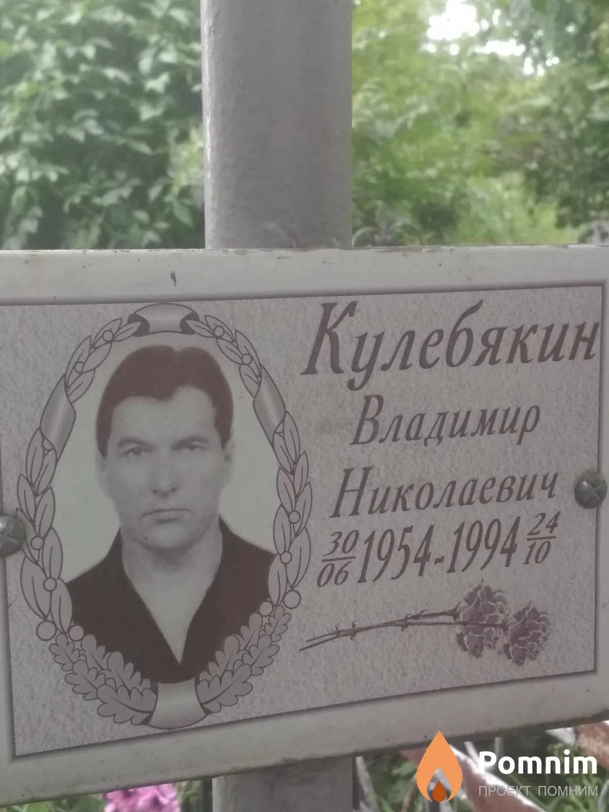 Кулебякин Владимир Николаевича