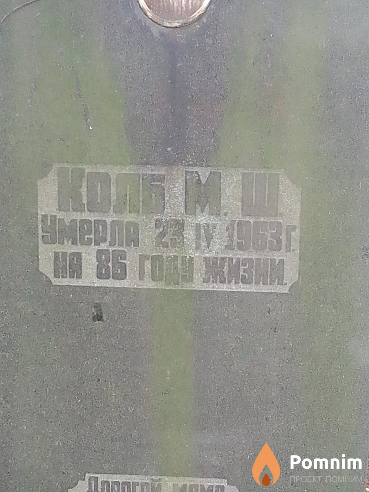 Колб М Ш