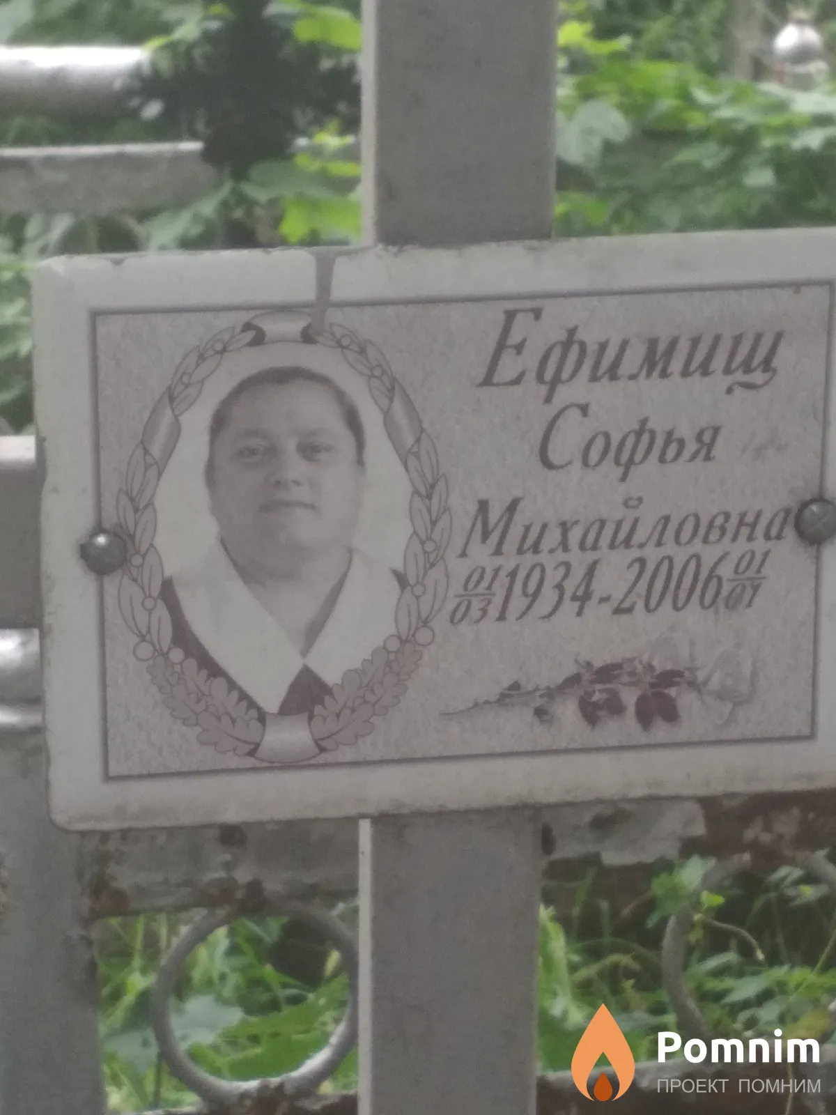 Ефимиш Софья Михайловна