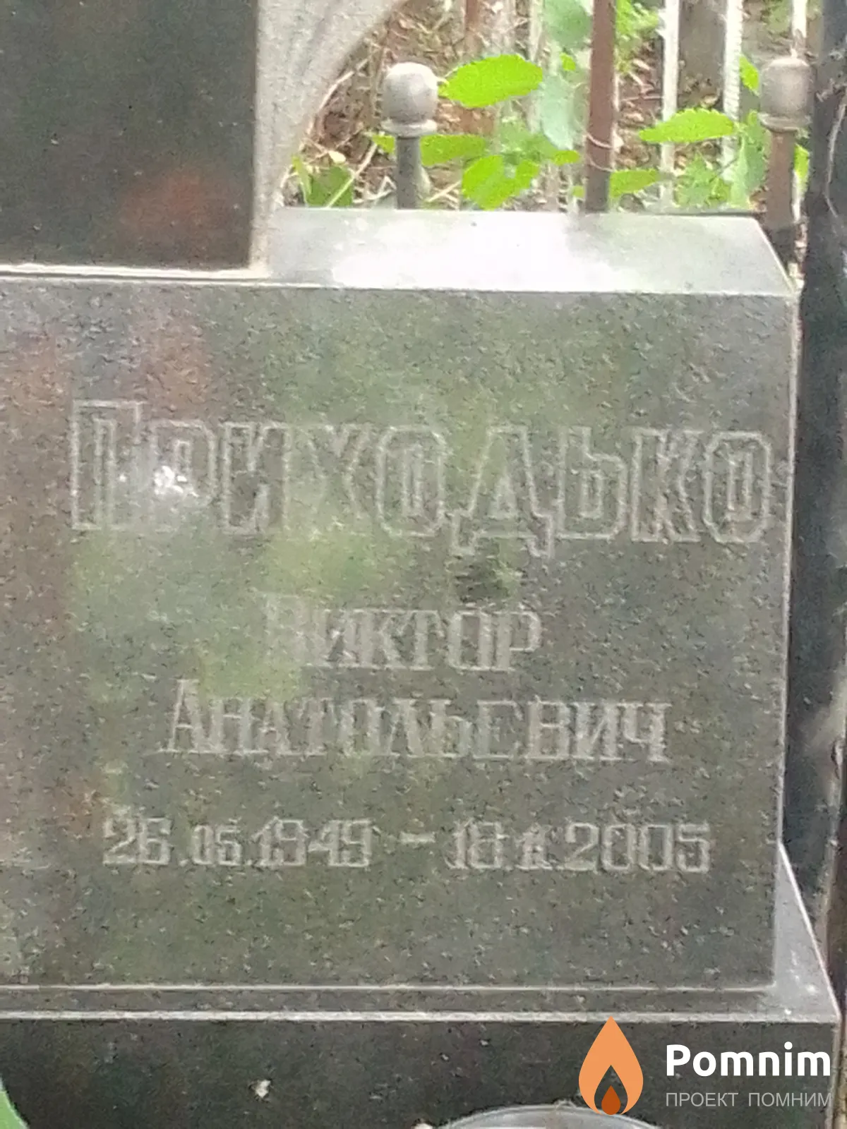 Приходько Виктор Анатольевич