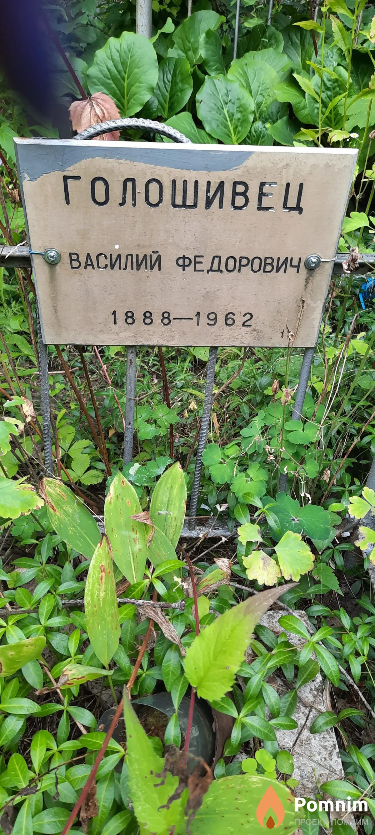 Голошивец Василий Фёдорович