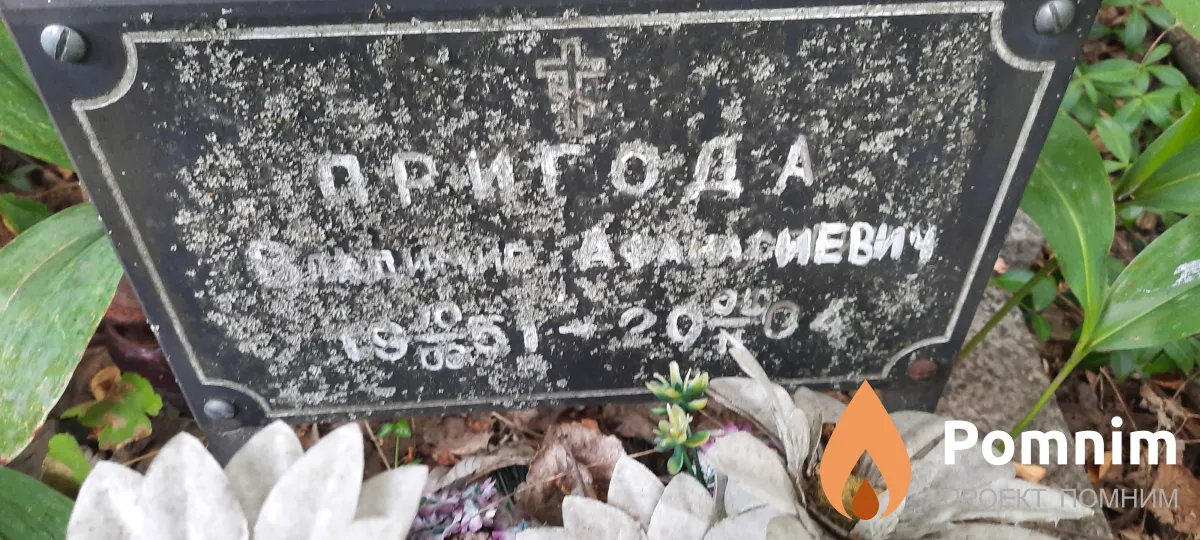 Пригода Владимир Афанасьевич