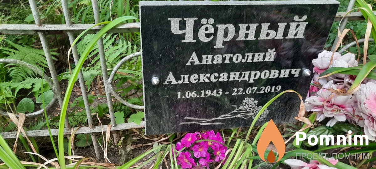 Чёрный Анатолий Александровна