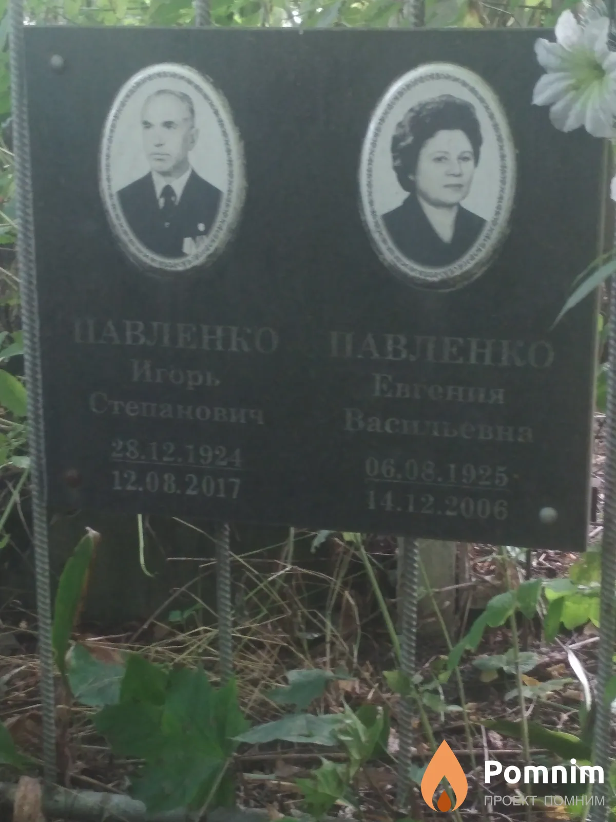 Павленко Евгения Васильевна